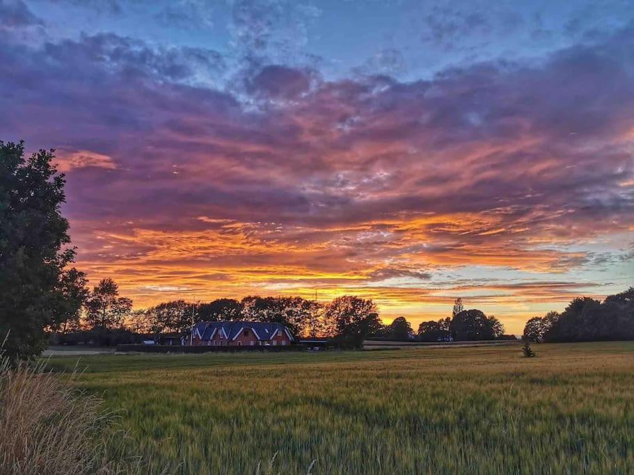 VejbyKongsholmlund. Enjoy The Countryside.アパートメント エクステリア 写真