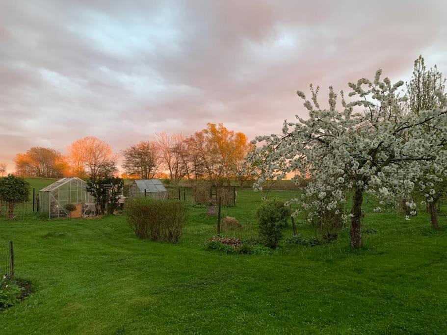 VejbyKongsholmlund. Enjoy The Countryside.アパートメント エクステリア 写真